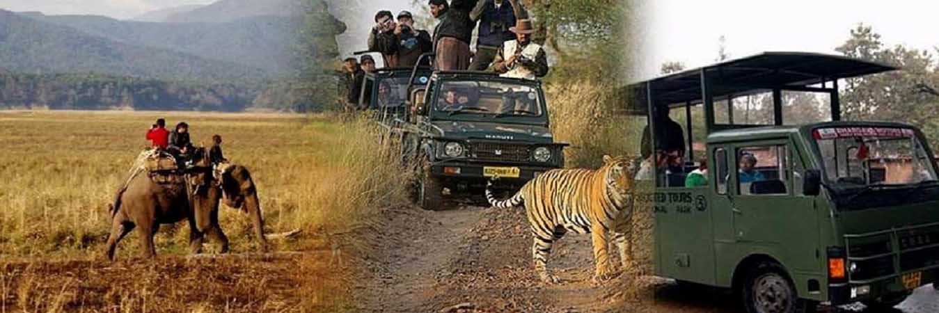 jim corbett National Park