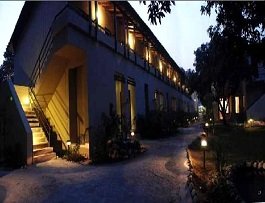 3 Palms Wild Exotica Corbett