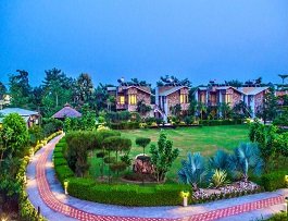 The Roar Resort